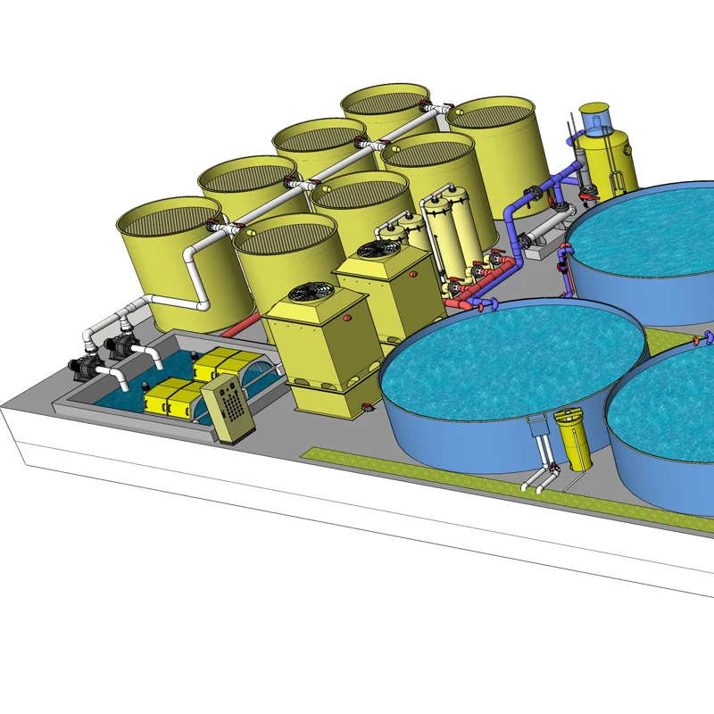 Customized Fish Raising Tilapia In A Pond/Open Ocean Aquaculture/Raceway Aquaculture System Design