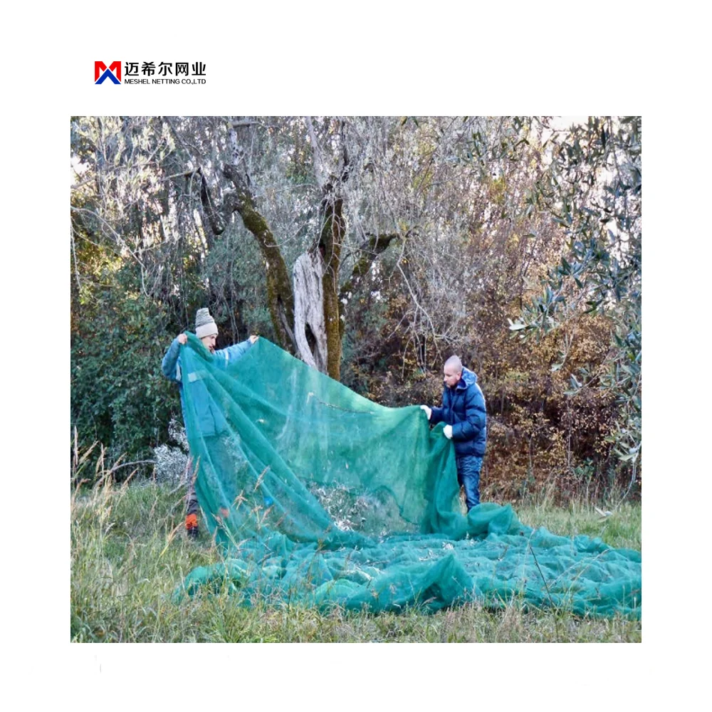 Ripe season olive collection olives harvest net for farm