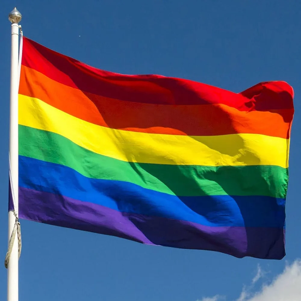 outdoor plastic pole hang waving flag rainbow flag wholesale  rainbow lgbt flag