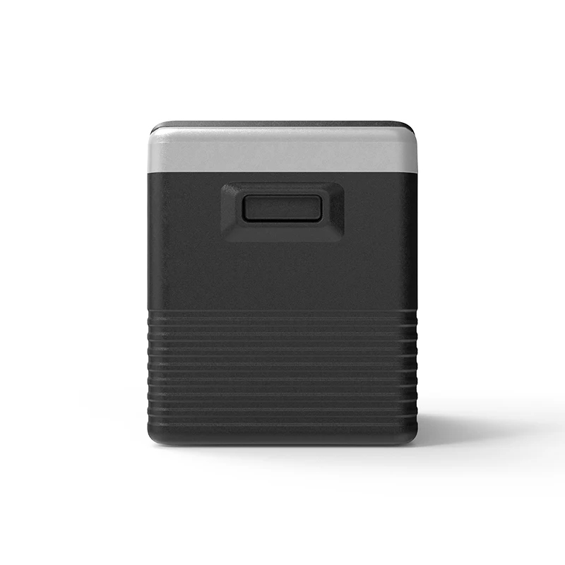 40L Portable 12v 24v Dc Micro Mobile Deep Freezer for Camping Outdoor Car Chinese Technology Power Performance Adjustable Foam