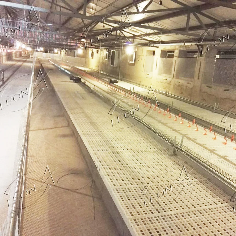 Cheap Price Automatic  Poultry Feeder Equipment For Breeder