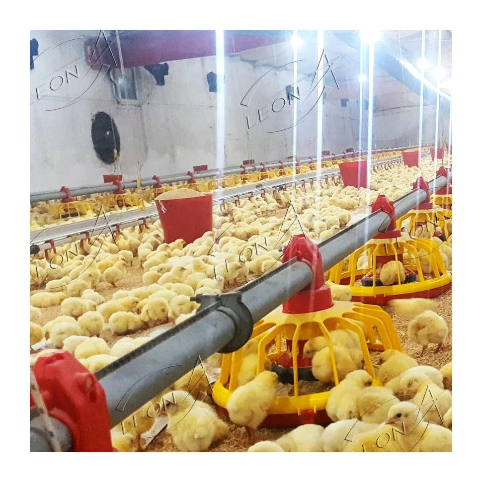 High Quality Low Cost Modern Poultry Farm Chicken House Design