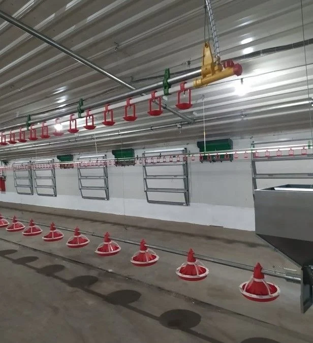 Automatic Poultry Farming equipment Chicken Feeding pan 14 grid Feeder Line System for Floor Raising System