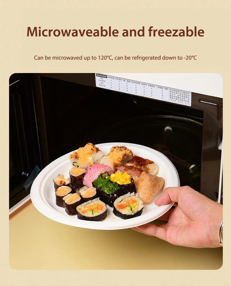 Disposable bagasse bowl take-out sugarcane packaging box degradable bagasse food container outdoor barbecue bowl Plate