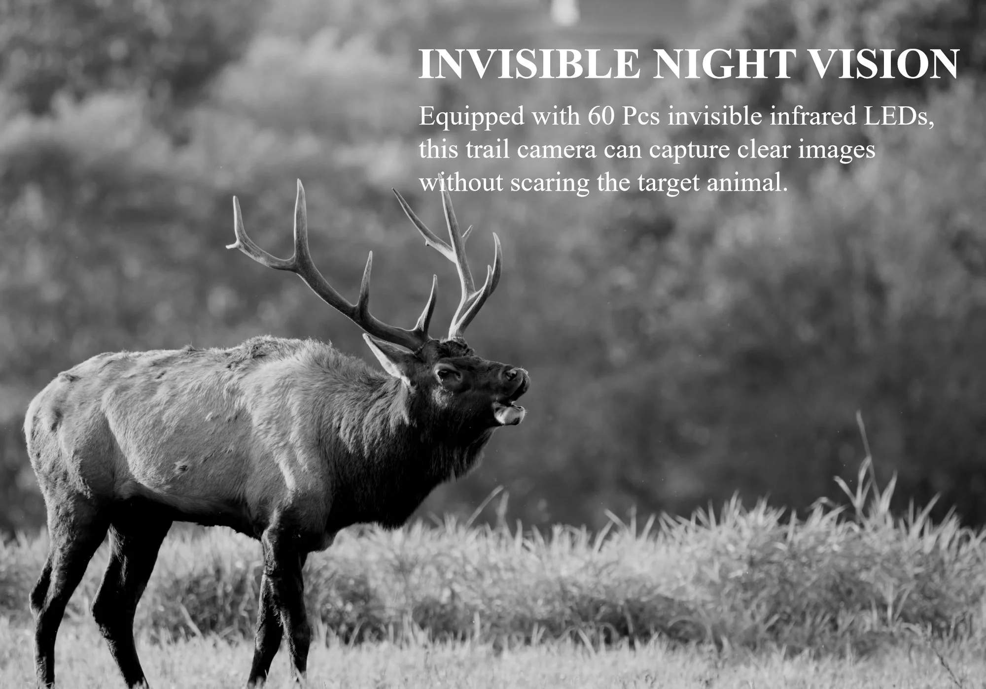 4G LTE 32GB Night Vision Cell Cellular Deer Camera MMS FTP SMTP 1080P Tracking Game Trap Trail Hunting Camera Solar