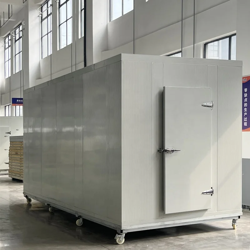 3Hp Freezing Refrigered Portable Evaporator Negative Cooler Chiller Mono Block Medical Container Cold Room