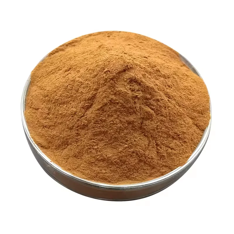 Hot selling high quality longan fruit extract powder longan fruit powder longan juice powder