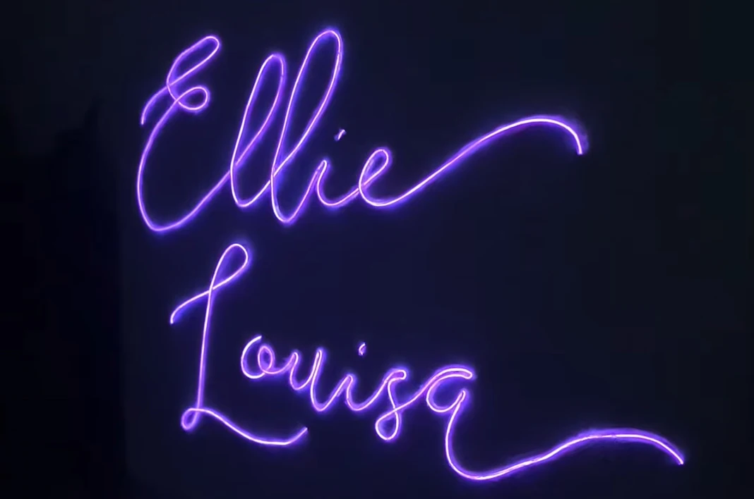 2.3mm 3 meter EL wire Neon rope craft light strip DIY kit with AA battery case Factory price wholesale rush delivery