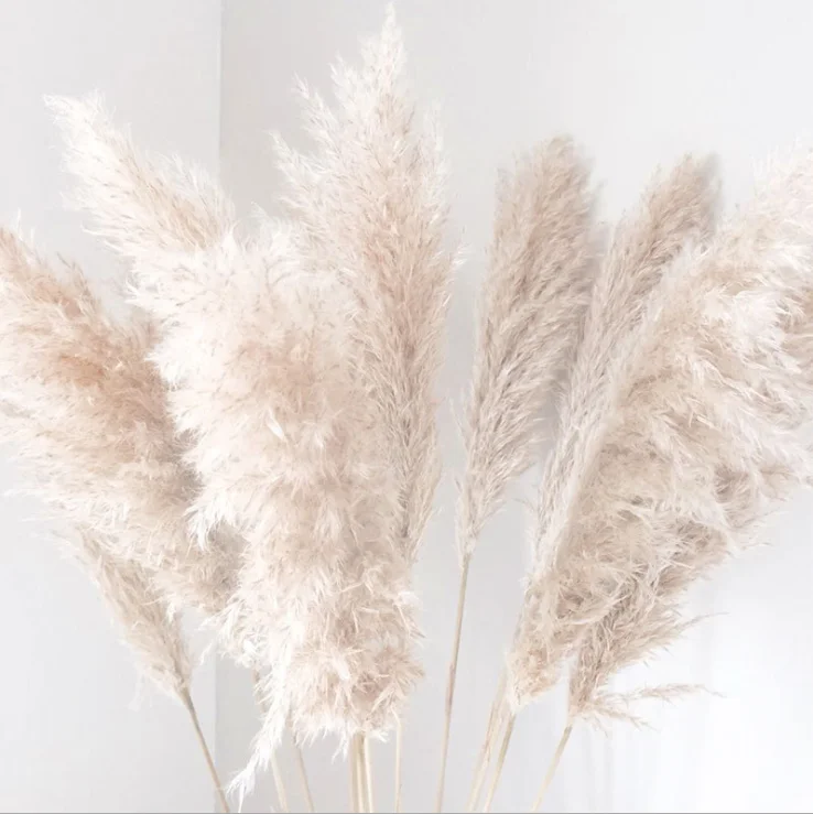 Оптовая продажа, сухая натуральная сухая трава для украшения дома, вечеринки, свадьбы