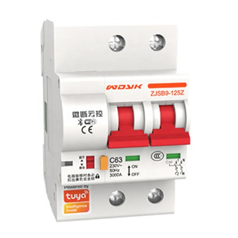 High Quality WiFi Wireless TUYA Smart 2P 20A 25A 32A 40A 63A 80A 100A 125A MCB Circuit Breaker for Home Factory