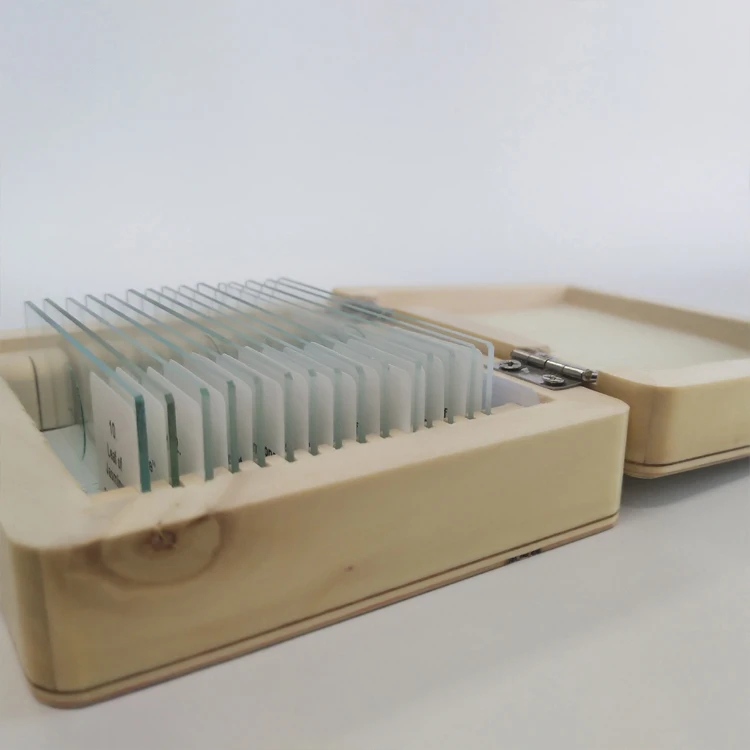 pathological parasitic microscope slide set for medical education research