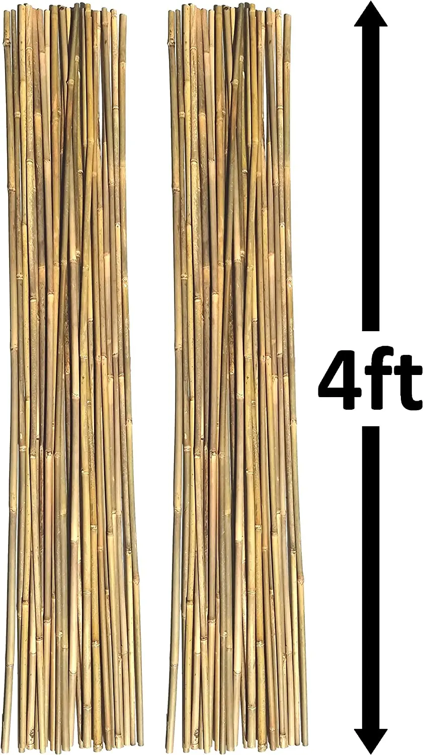 Wholesale Nature Raw Tonkin Yellow Bamboo Pole Cane Material For Decorative And Plants Grow Support