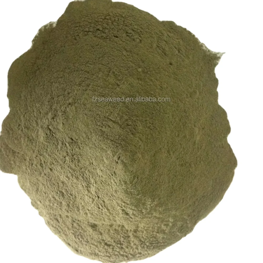 Hot sale Pure natural alga ulva Sea Lettuce  powder