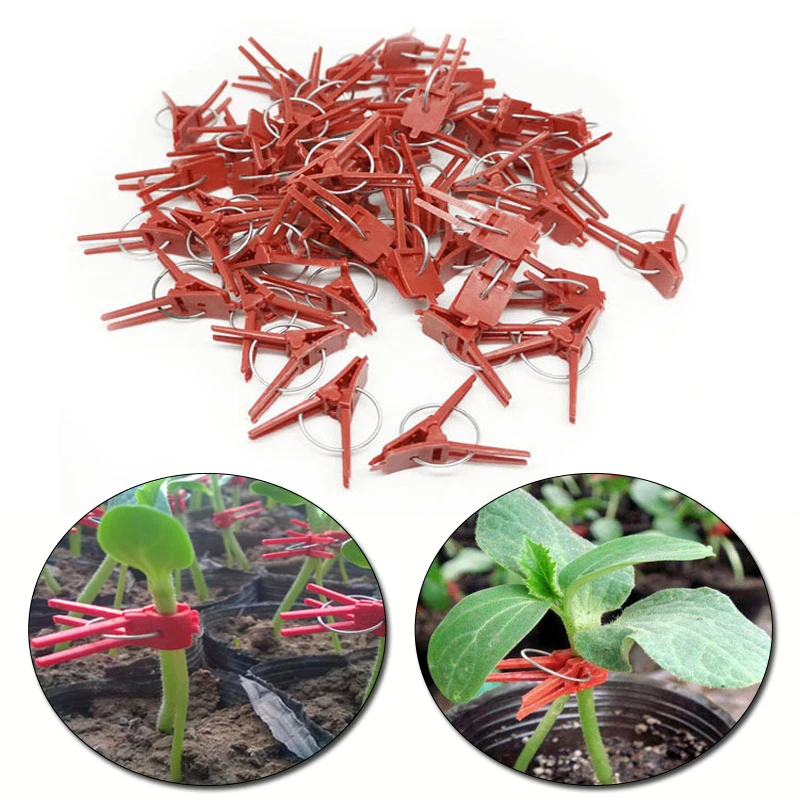 
50pcs Grafting Watermelon Garden Vegetable Flower Vine Stalks Fix Grow Upright Plant Support Garden Clips Set 