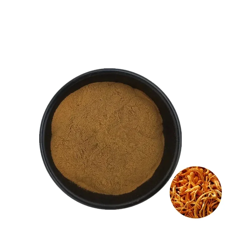 Cordyceps Militaris Extract 10:1 Health Care Product Cordyceps Militaris Extract Powder