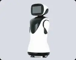 Intelligent AI robots smart music story dancing science programming robot Humanoid welcome robot