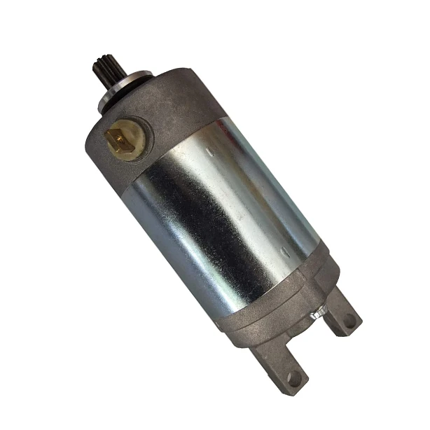 Starter Motor For Yamaha ATV Breeze YFA1 Grizzly YFM125 18755 3FA-81800-01-00 3FA-81890-00-00