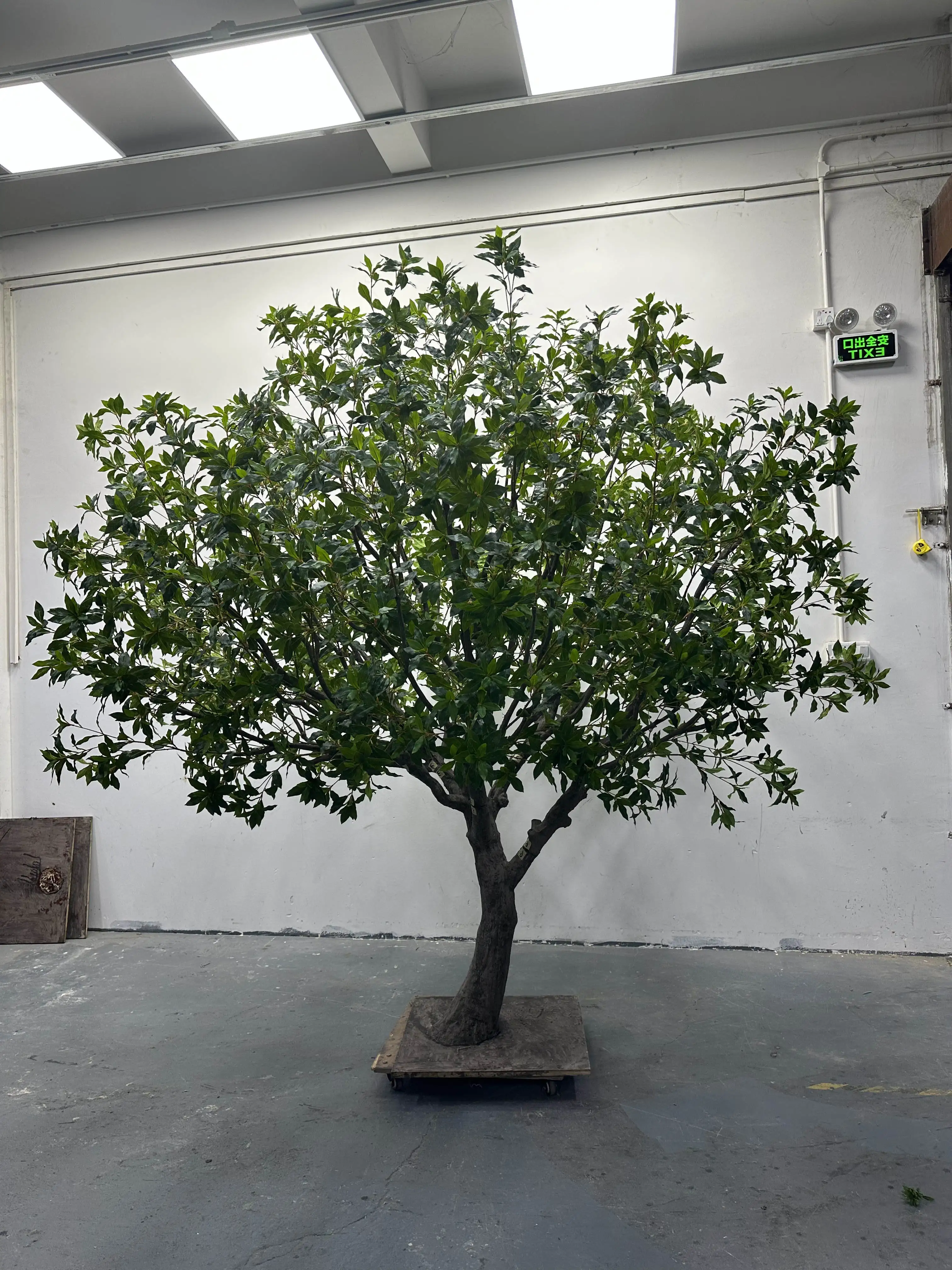 Customized Handmade DIY Fake  Green Leaves Japanese Andromeda Artificial Pieris Japonica Tree For Interior Home Mall Decoration