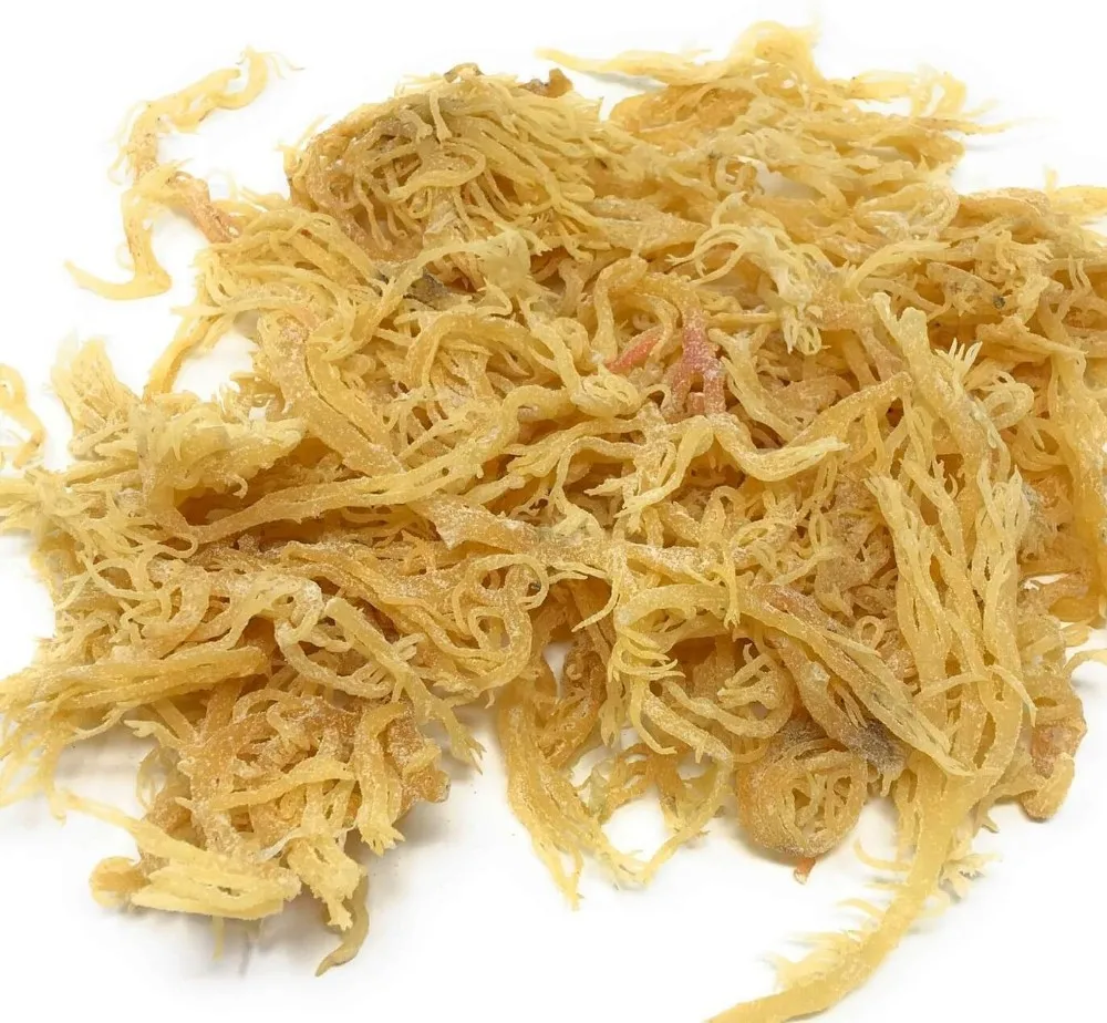 Fast delivery VIETNAM COTTONII SEAWEED/COTTONII FOR CARRAGREENAN/  +84 845 639639 Ms. Holiday