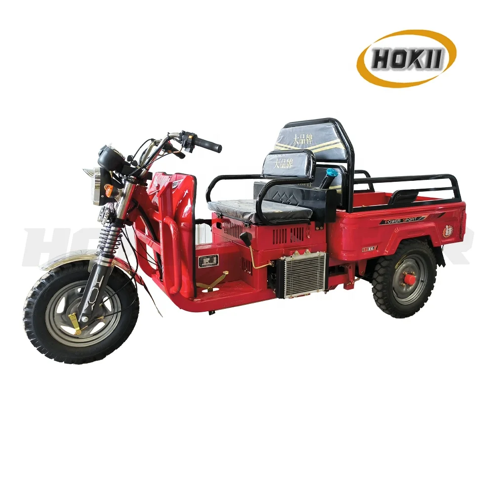 125cc Mini Motorcycle Tricycle For Disabled Persons Motos tvs Tricycle