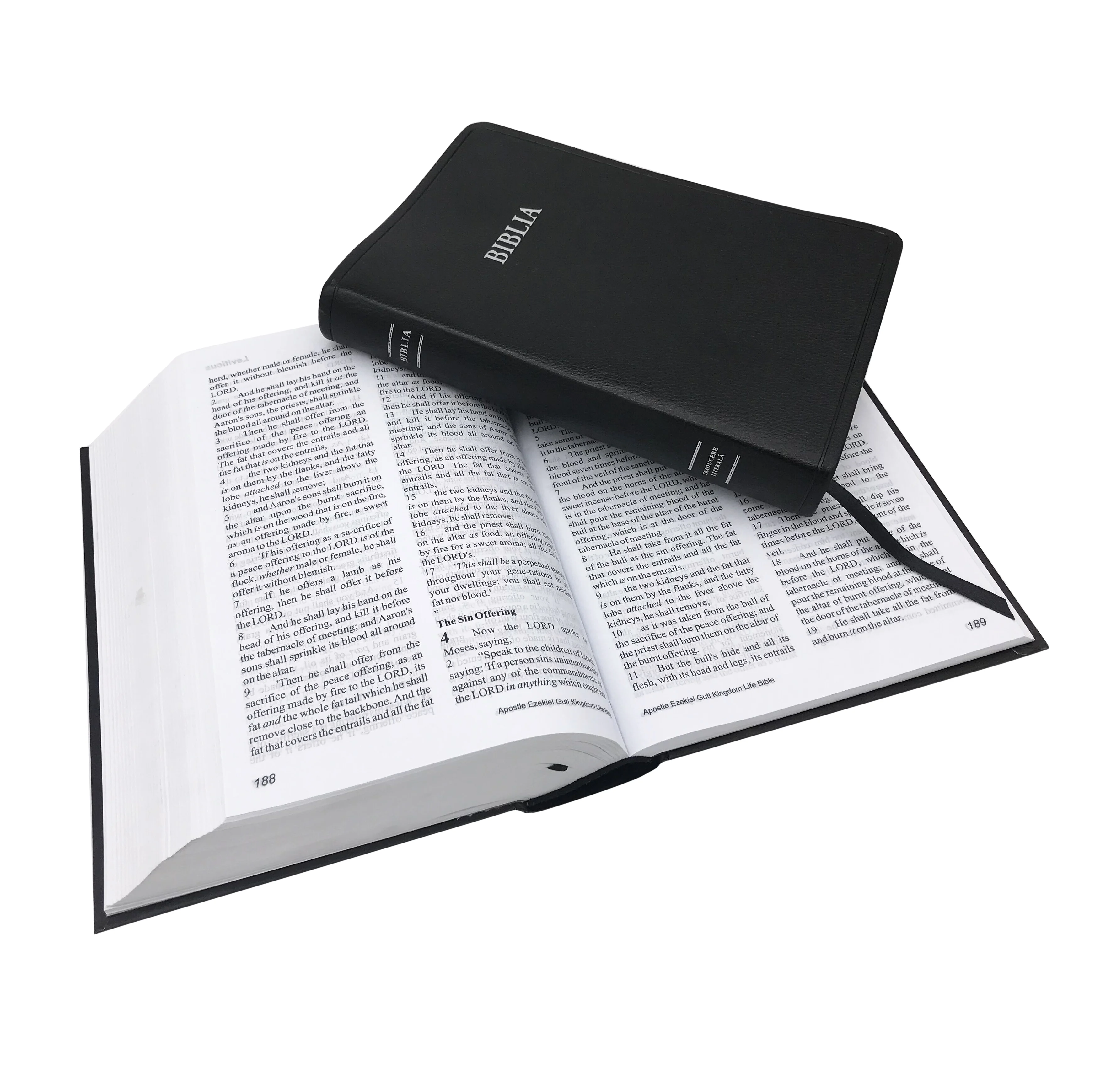 Professional Customized Hardcover Holy Bible with Color Printing for Charity Use 2 color and 4 color Bibles