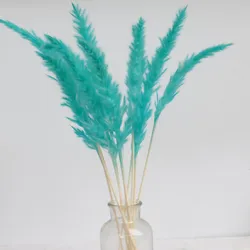 Natural Dried Flowers Small Natural Pampas Grass Wedding Wall Decoration Home Arrangement Office Baby Pampas