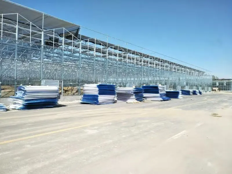 Wholesale greenhouse roofing 6mm polycarbonate hollow sheet