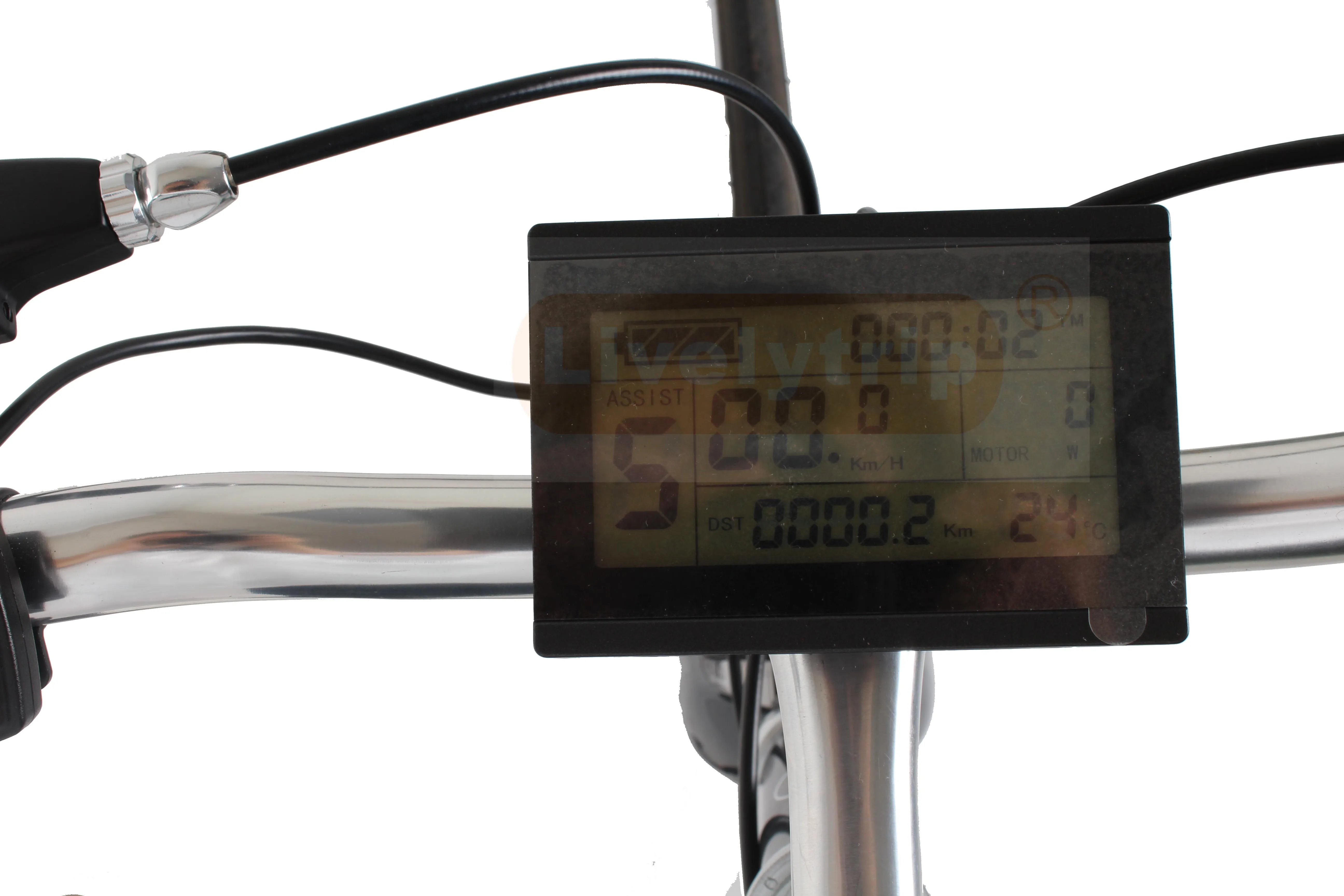 250w rear motor electric bike fix bicycle with single speed and steel frame