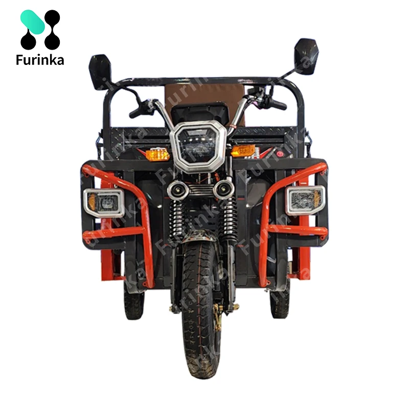 1200w Two Seats Motorized Pedal Petrol Cheap Electricycle Adult Passenger Vehicles Three Wheel Cargo Tricycle