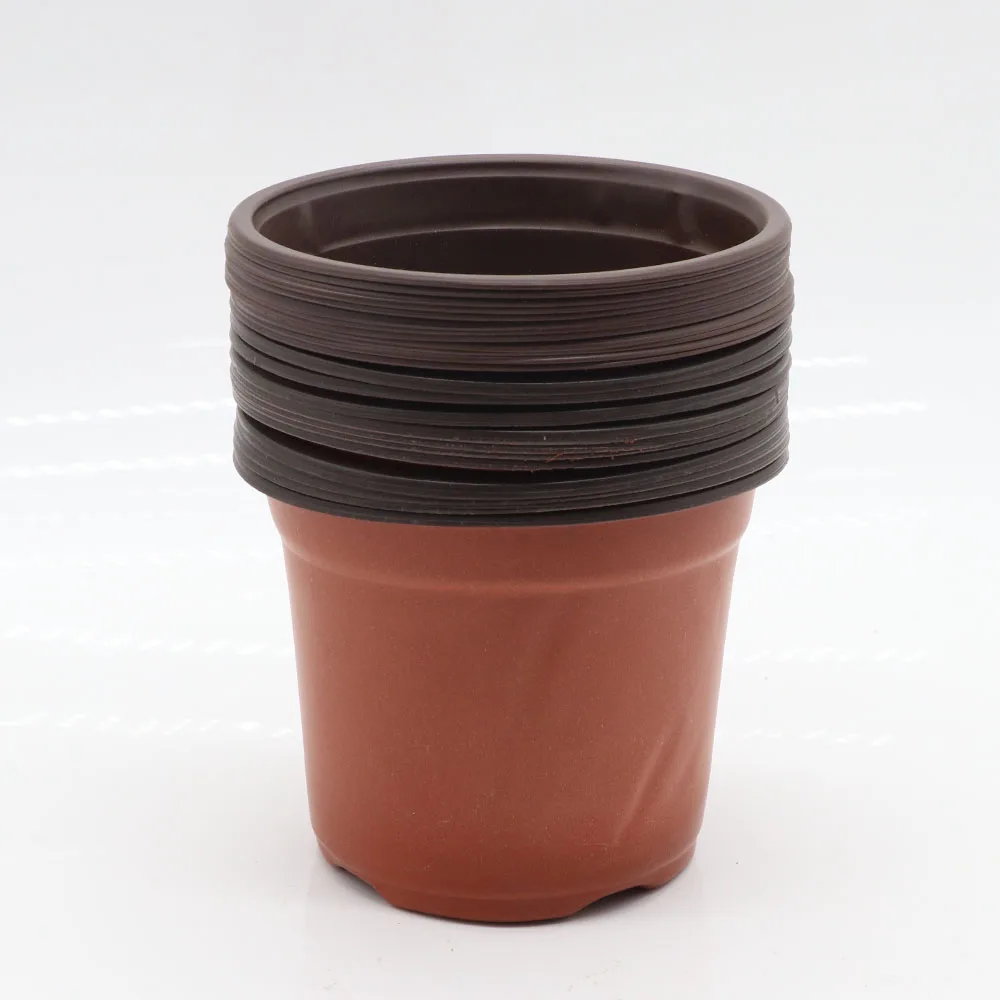 Nursery wholesale Indoor Healthy Root Seeds Grow rust Transplant mini home round 9cm flower