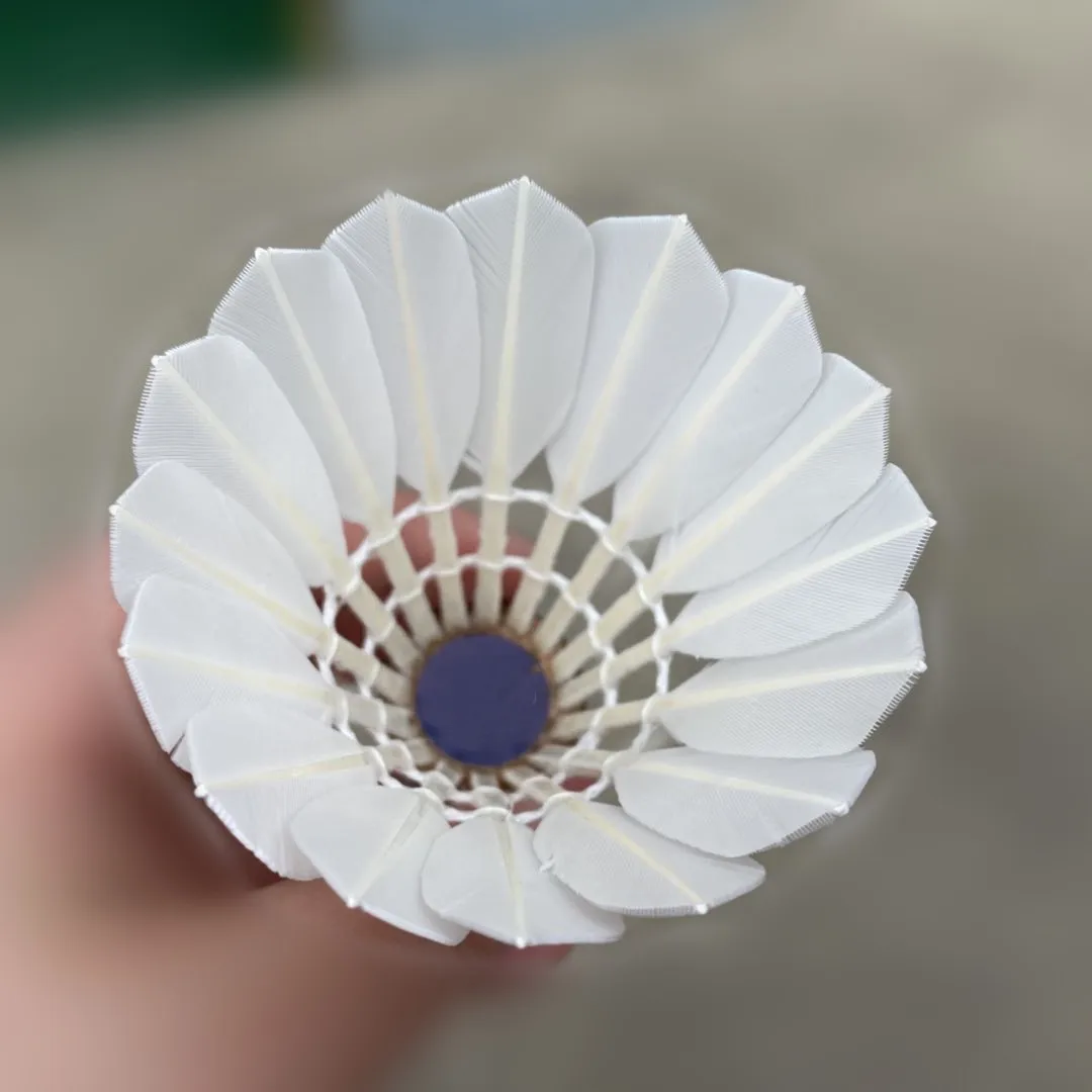 Лидер продаж качественный Волан для бадминтона из гусиных