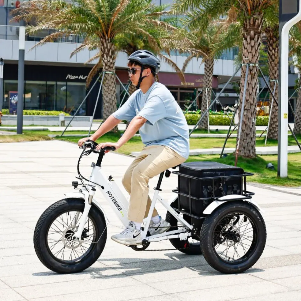 250w 350w 3 wheeler electric trikes 20inch tricycles for adults electric 500w cargo basket electric bike