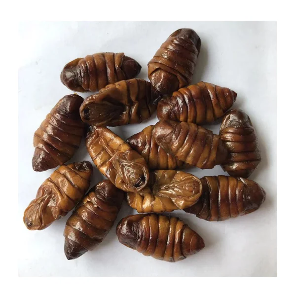 Пищевые насекомые шелкопряда корм для животных Maggot Eco Fresh Pupae