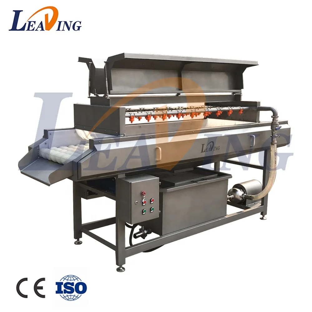Factory Price fruit and vegetable cleaning machine automatic vegetable washer machine