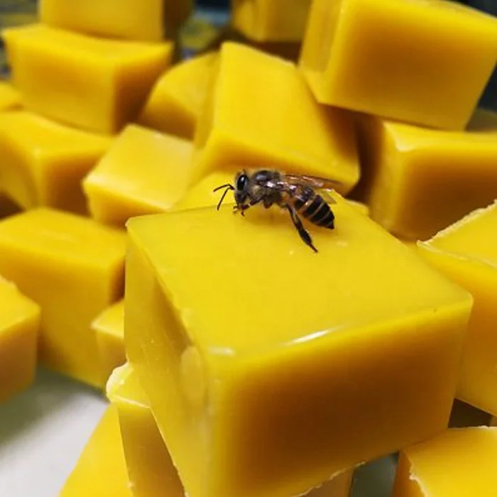 Yellow Raw Bee Wax To Make Candle With Good Price