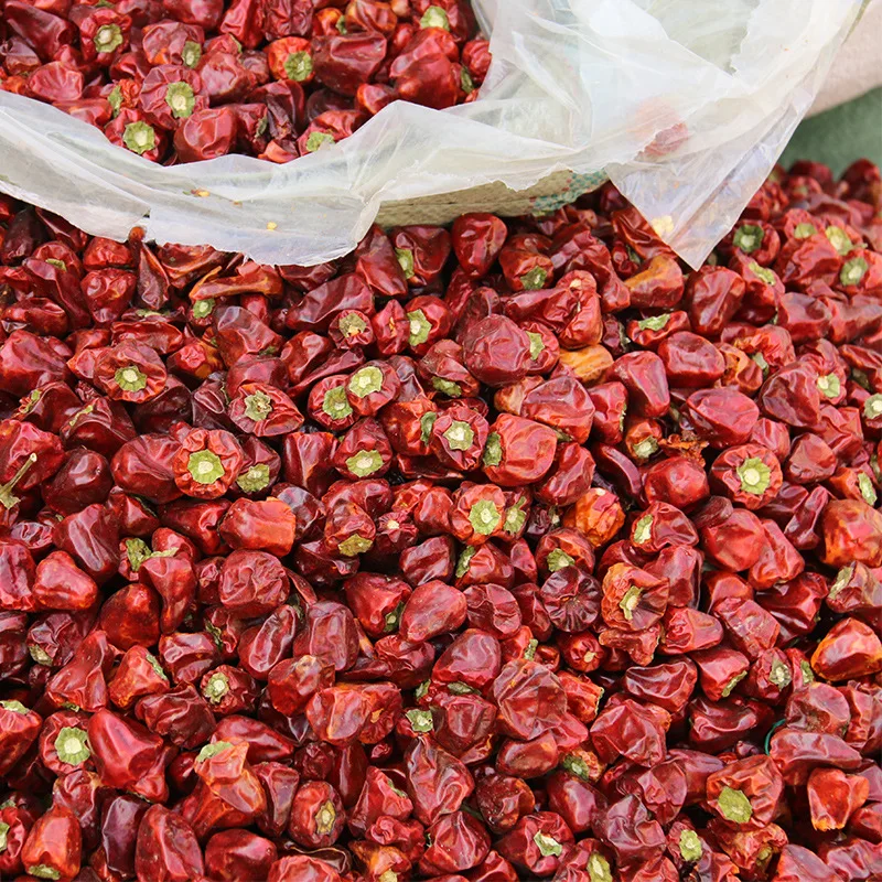 
China Guizhou Province Top Quality Wholesale Bulk Peppers Lantern Chili Hot Spices Dried Chili Pepper 
