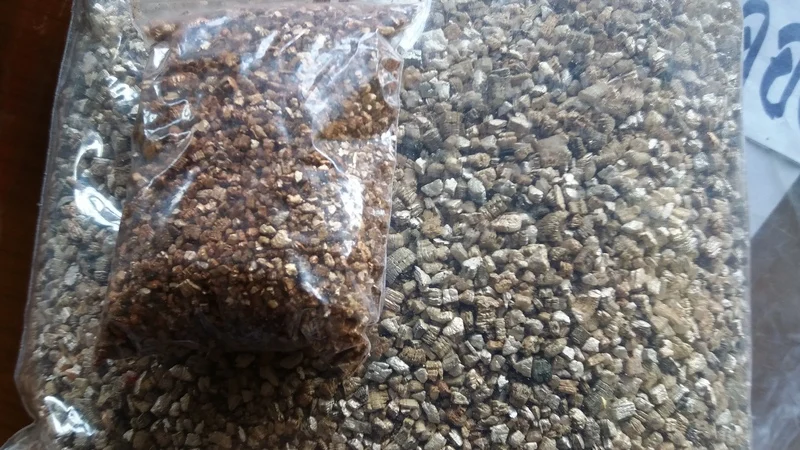 vermiculite01.jpg