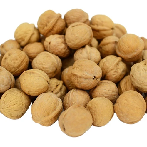 
Wholesale High Quality Walnuts Chinese Xinjiang Walnut Factory Supply 