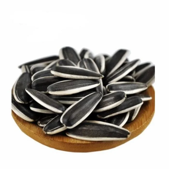 363 Sunflower Seeds Ton Price Sunflower Seeds for Sales for Oil Sunflower Seed Bag Chinese 50kg 100% Natural Confectionery