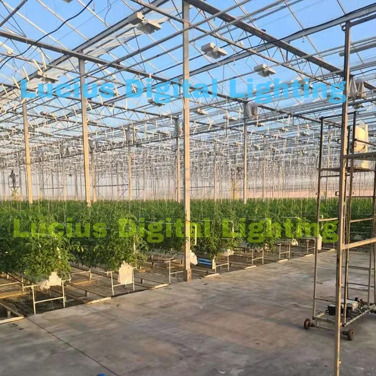 In Stock Vertical Farming Lucius 1000W Cmh Grow Light For Plants Indoor