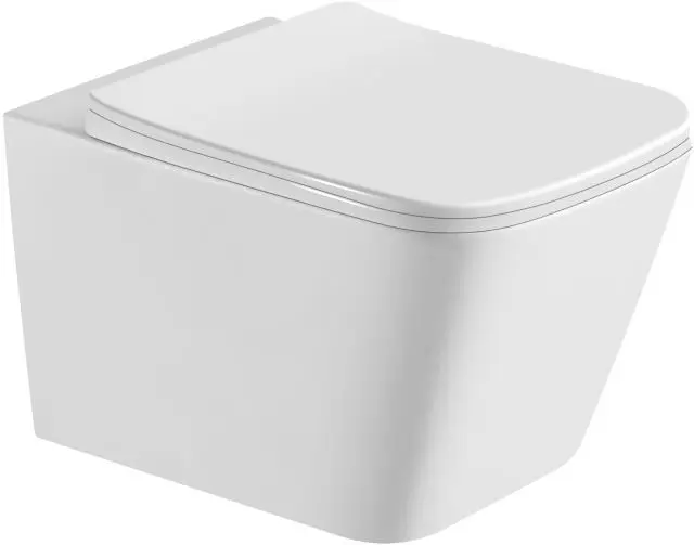 European Wall Mounted Toilet Bowl Modern Ceramic Bathroom Concealed Cistern Suspended Wc Wall Hung Toilets With Rimless