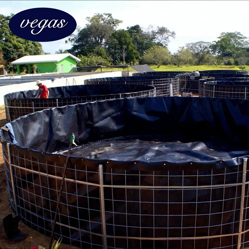 45mils 60 mil Roll 2mm Polyethylene Liner HDPE Plastic Sheet Dam Liner Geomembrane for Landfill Project in Thailand