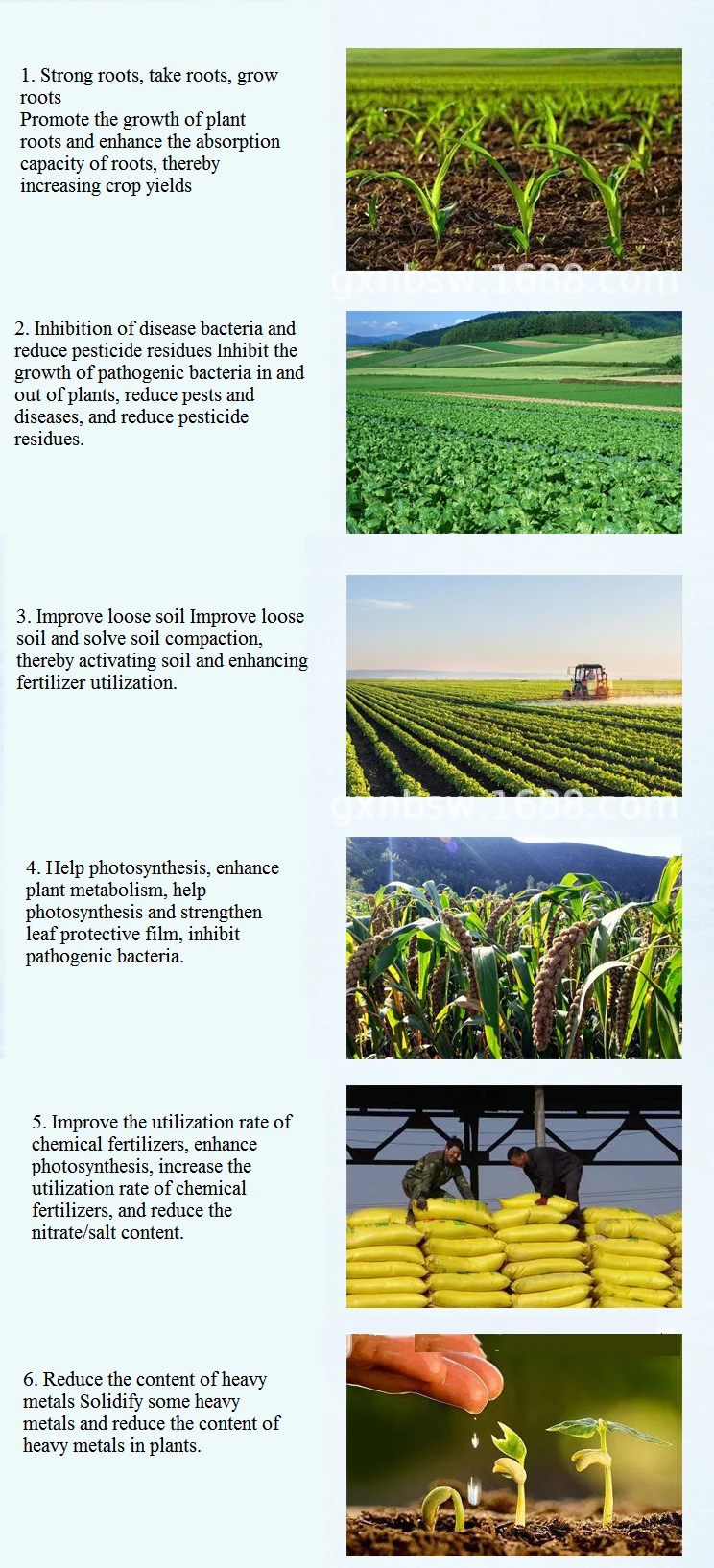 Agriculture Improve Soil Quality Fertilizer Additives Plant Root Increase Bacillus Laterosporus 10 Billion