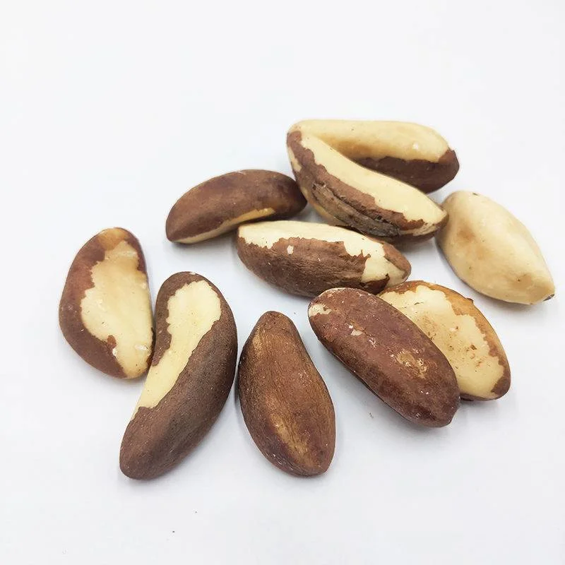 100% Natural Dried Raw Shelled Brazil Nut
