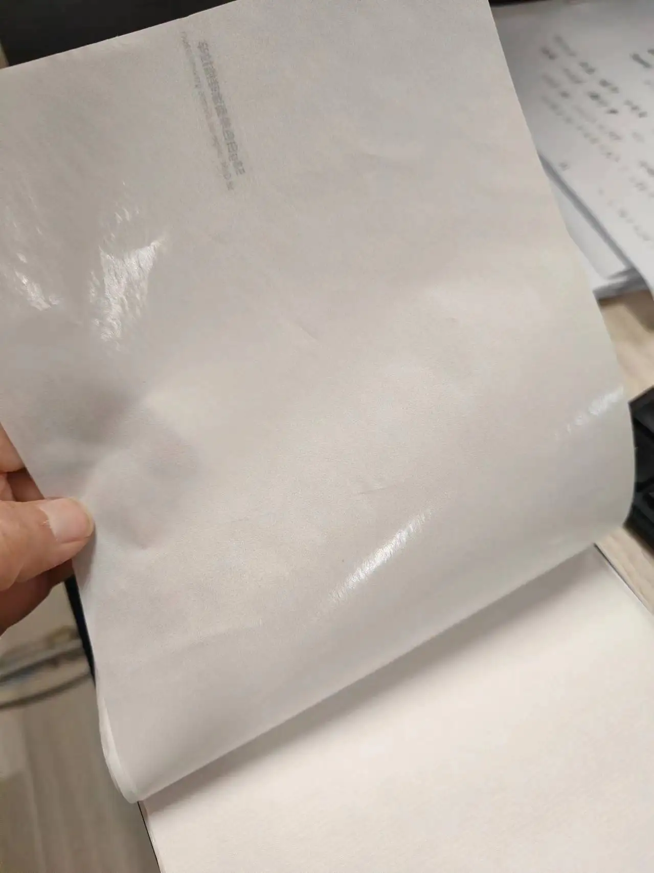 Custom Food-Grade PE Coated Paper Roll Sheet Grease Proof Kraft Pulp Offset Printing Compatible Customizable