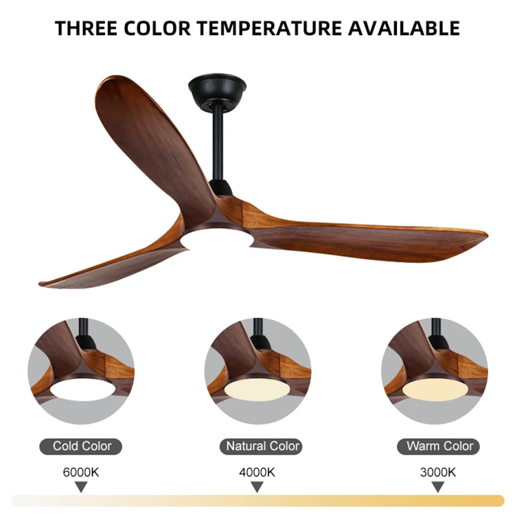 modern Ceiling Fan 3 Plywood Blades  Fans lamp Dc Motor  Electric English Remote Control ceiling fan with Light