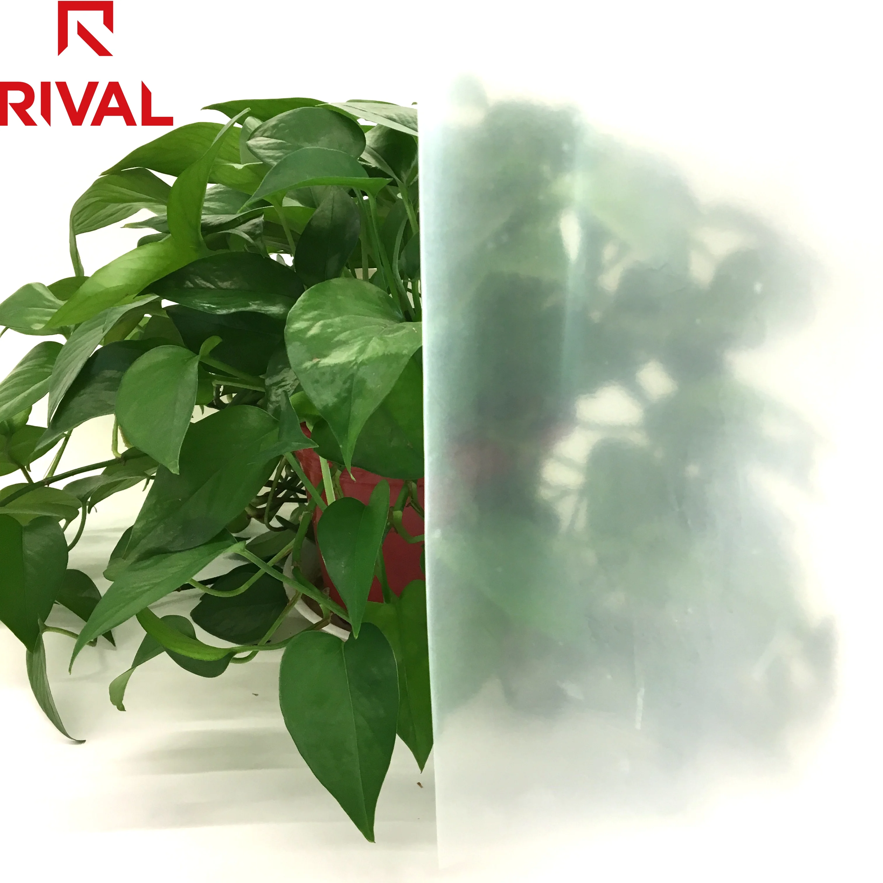 Зеленая пленка для теплиц 6 мил, сельское хозяйство, пластиковые Заводские растения, покрытие