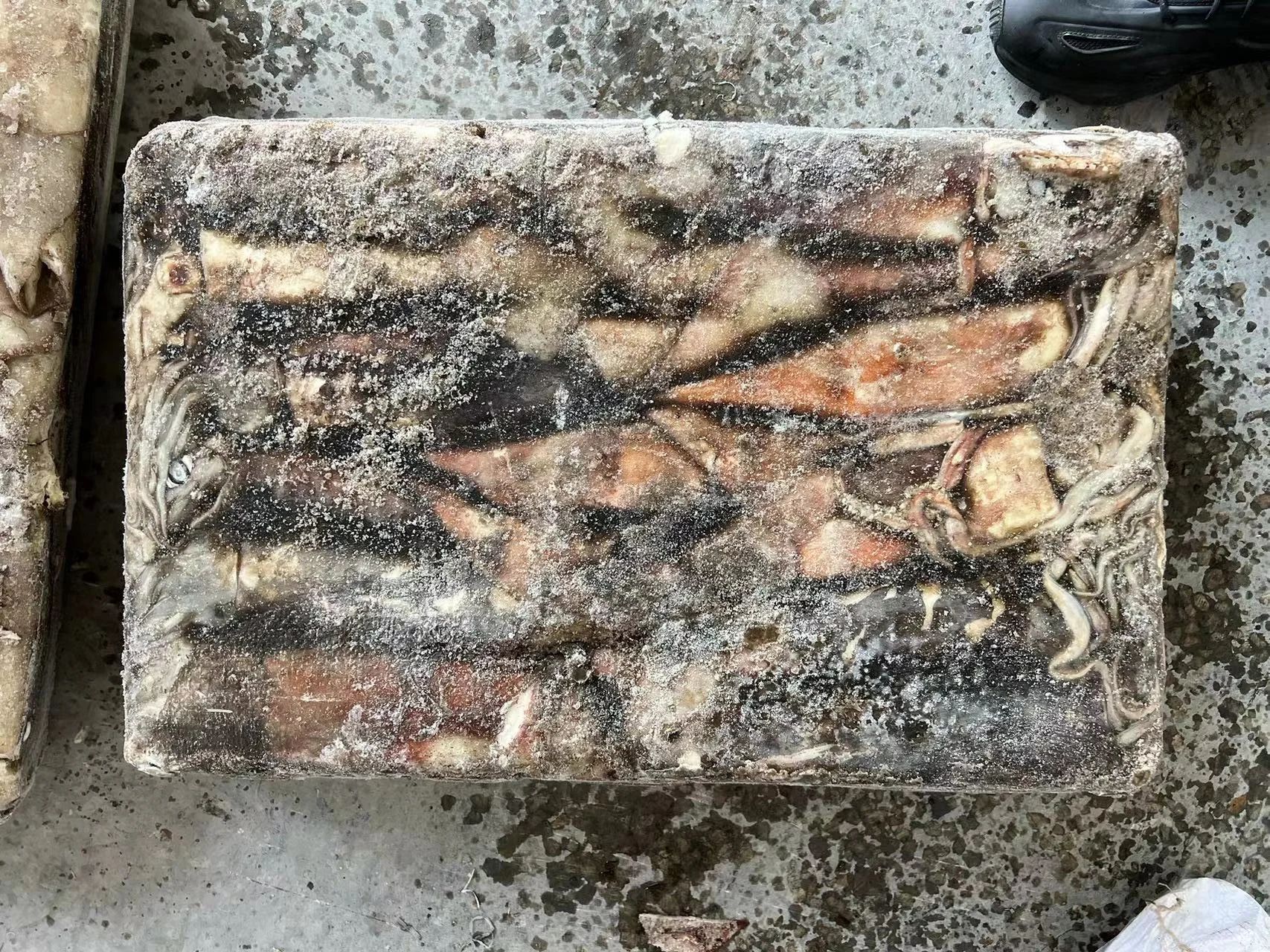 High Quality Dosidicus Gigas Congeles Giant Squid 300-500g Frozen Peru Squid to Thailand Market