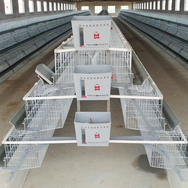 90-120 Chicken Battery Cages for Poultry Layer a Type Cage Bangladesh