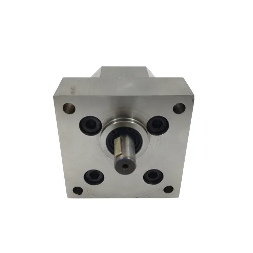 Factory direct stainless steel metering pump, stainless steel gear pump, custom hydraulic pump